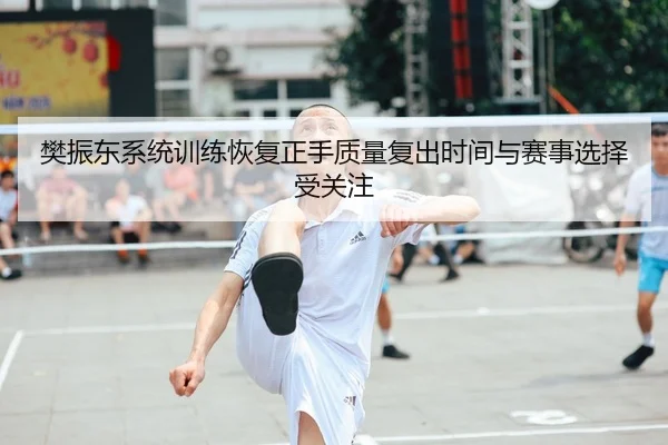 樊振东系统训练恢复正手质量复出时间与赛事选择受关注